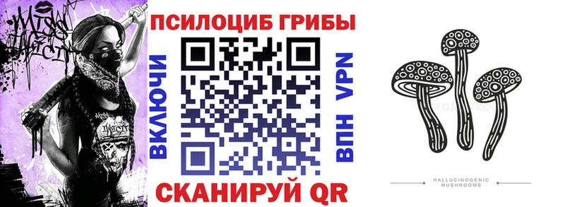 Галлюциногенные грибы ЛСД  Купить  Гвардейск 