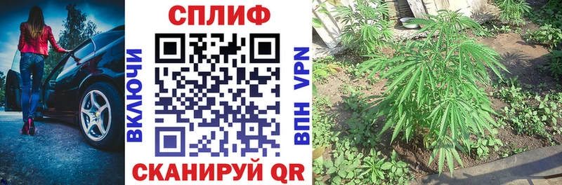 Купить закладки Гвардейск Конопля индика